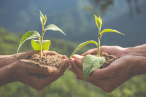 Climate-Smart Agriculture Techniques