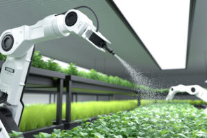 Exploring the Future of Organic Farming Technology