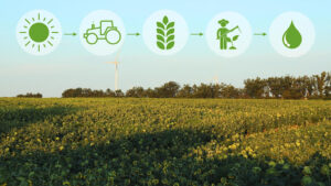 Technologies Innovation In Organic Farming