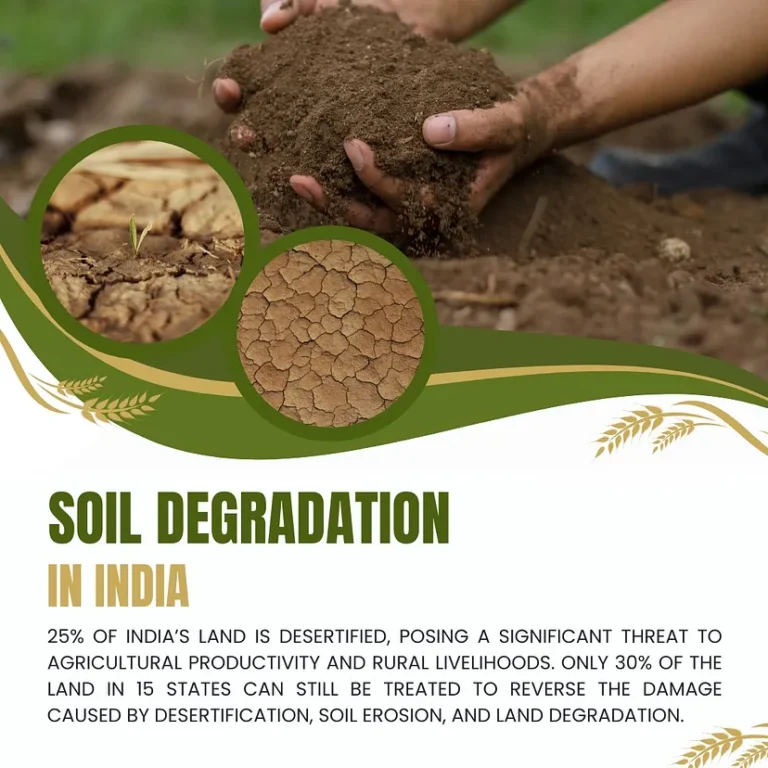 soil_degradation