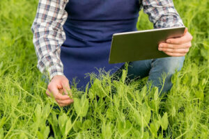 The Right Agriculture Consulting Service for Your Farm