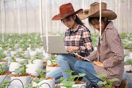 Digital Farming for Farmers