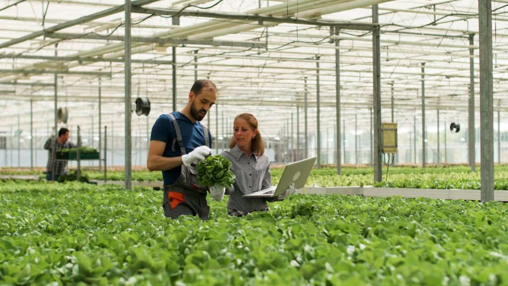 Yield enhancement tech