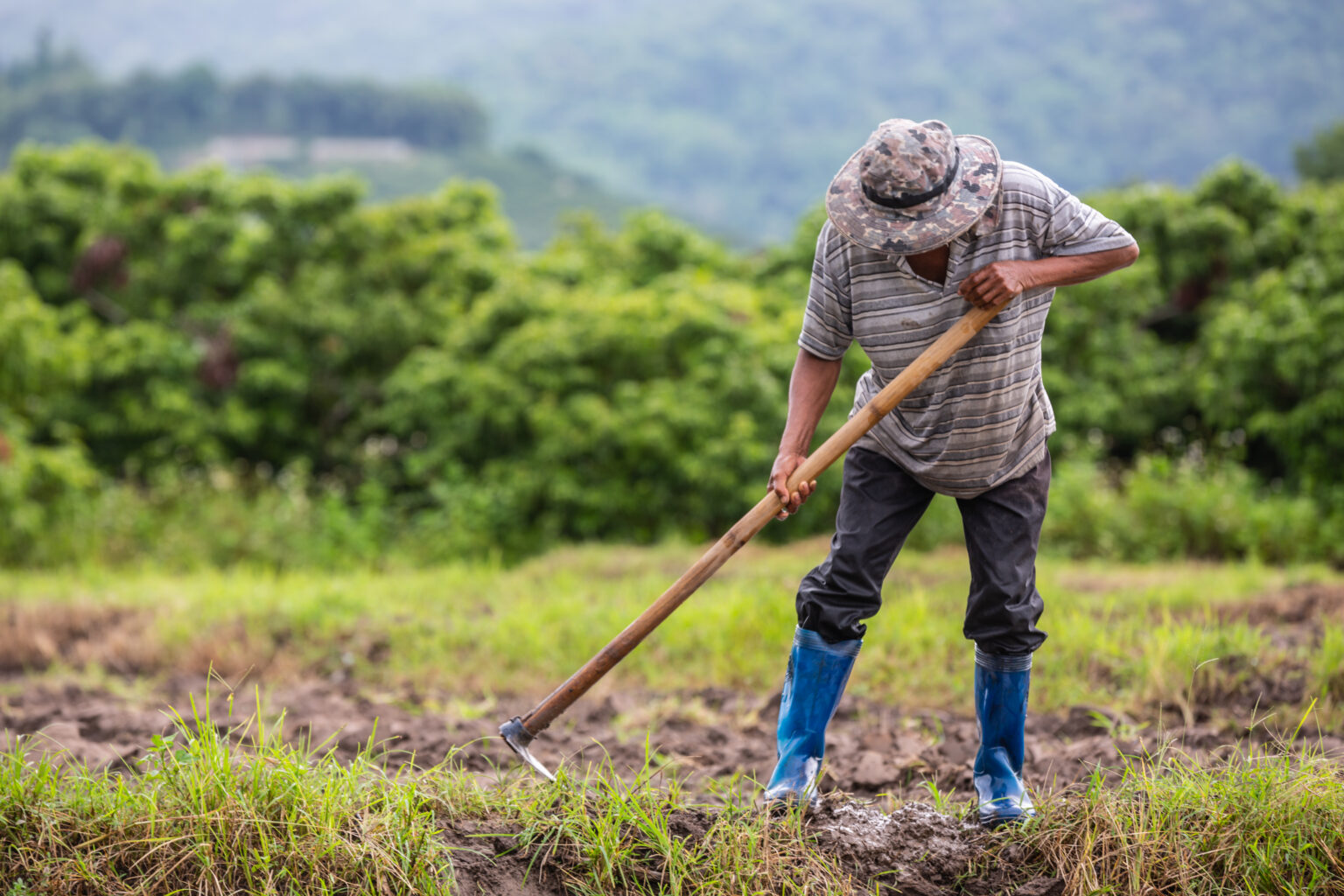 ASQI Farmer