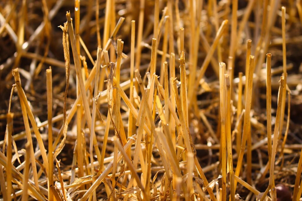 Converting stubble