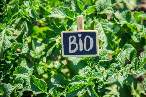 Top 10 Benefits of EBC+ Biochar for Organic Farming